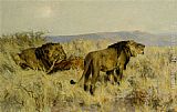 The Prize by Arthur Wardle